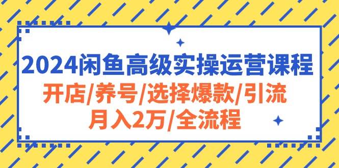 2024闲鱼高级实操运营课程：开店/养号/选择爆款/引流/月入2万/全流程