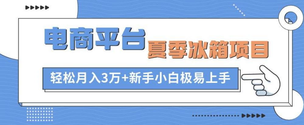 电商平台夏季冰箱项目，轻松月入3万+，新手小白极易上手