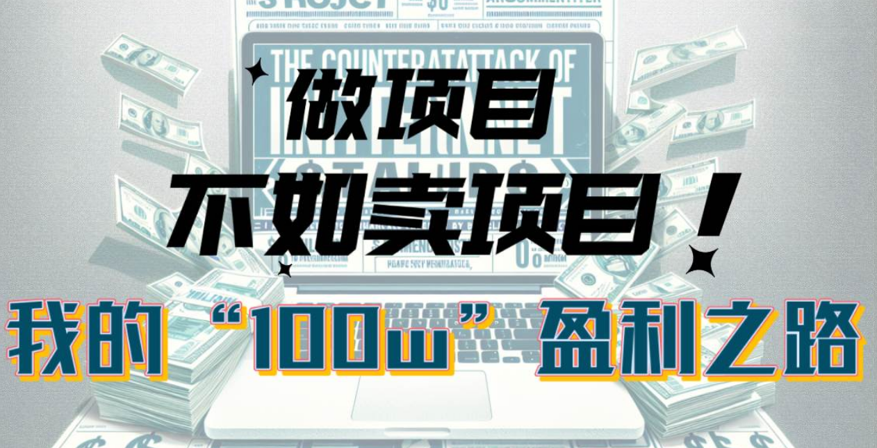 为什么做项目不如卖项目？我的100W+盈利之路（2024卖项目教程）