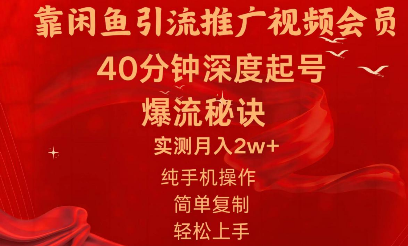 闲鱼暴力引流推广视频会员，能做到日入2W+，操作简单