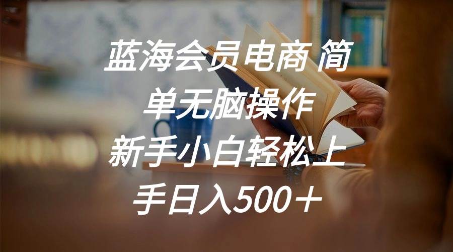 蓝海会员电商 简单无脑操作 新手小白轻松上手日入500＋