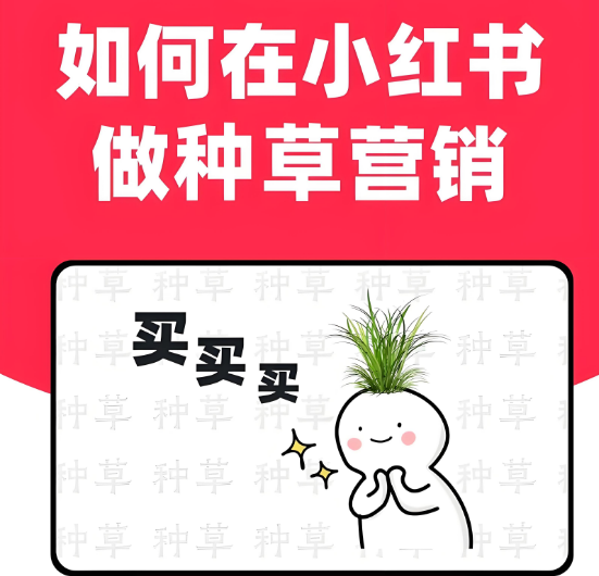 品牌如何在小红书上找博主进行种草带货？