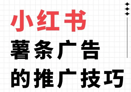 小红书薯条投放人群怎么选最好？